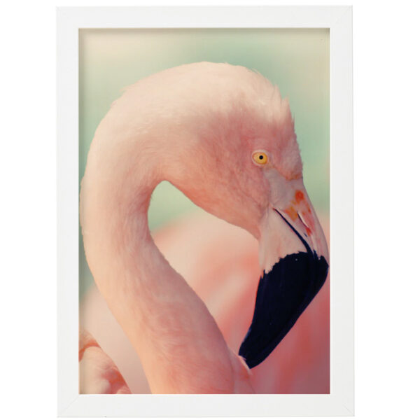 Постер Pink Bird