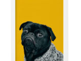Постер Yellow Dog
