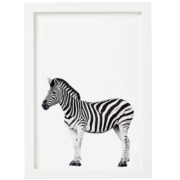 Постер Zebra Black And White 3