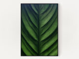 Постер зеленые листья 595-4